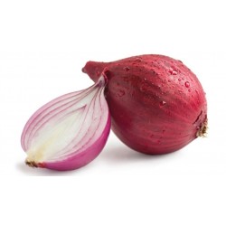 Cebolla