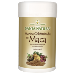 MACA